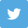 social-twitter-icon